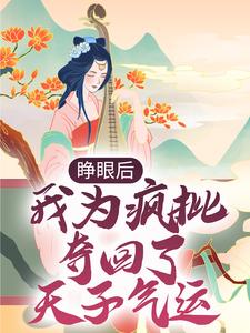 睁眼后,我为疯批夺回了天子气运