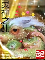 ����֮��