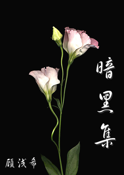 ���ڼ�