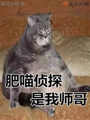 ������̽����ʦ��