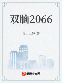 ˫��2066