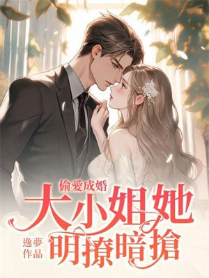 偷爱成婚,大小姐她明抢暗撩