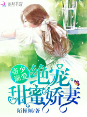 �����簮���������۽���