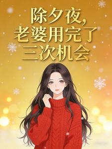 除夕夜,老婆用完了三次机会