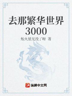 ȥ�Ƿ�������3000