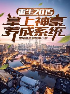 重生2015:掌上神豪养成系统