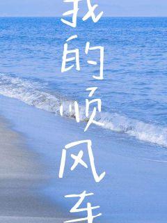 �ҵ�˳�糵