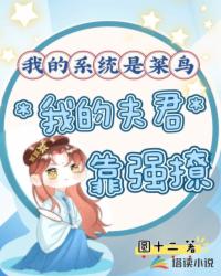 我的系统是菜鸟,我的夫君靠强撩