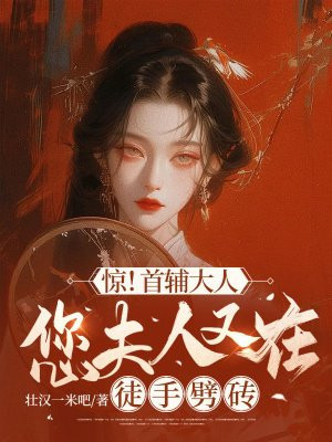 惊!首辅大人您夫人又在徒手劈砖