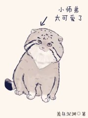 Сʦ��̫�ɰ���