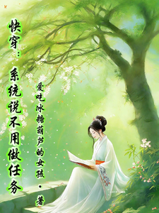 �촩��ϵͳ˵����������