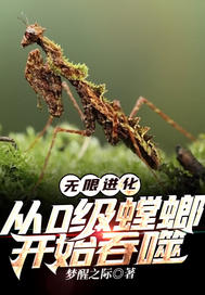 无限进化:从0级螳螂开始吞噬