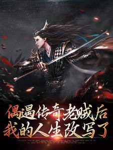 偶遇传奇老贼后,我的人生改写了