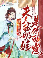 将军莫慌,夫人的奶娃是你的崽楚凝烟齐宴齐昭